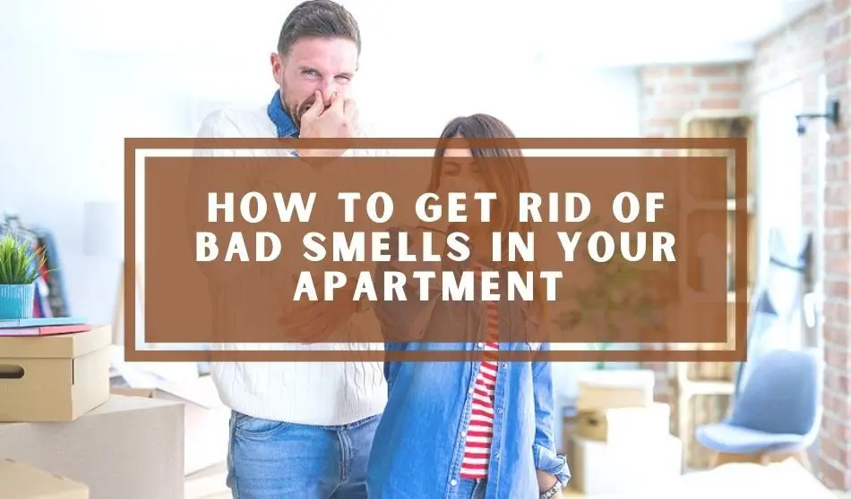 What to do if the apartment smells of gas