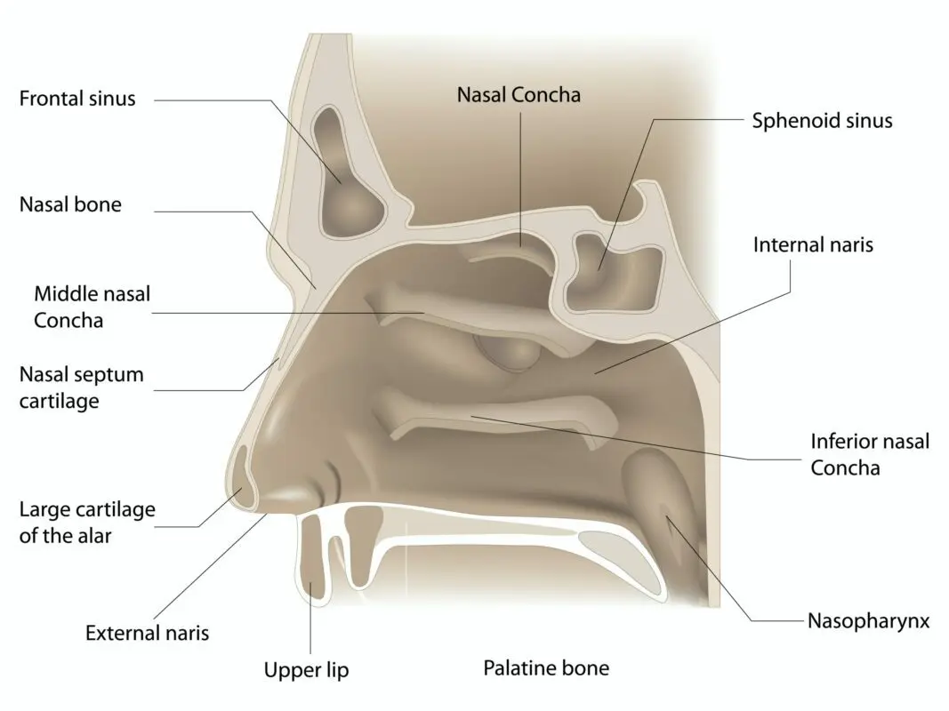 What to do if you blew your lower back