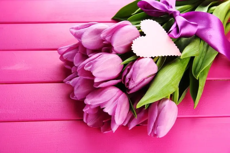 What to give on March 8: interesting facts about flowers for your beloved