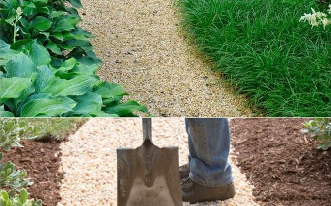 What to make garden paths in the country: 6 best options