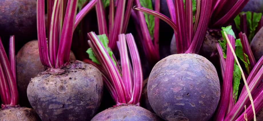 Planting beets before winter