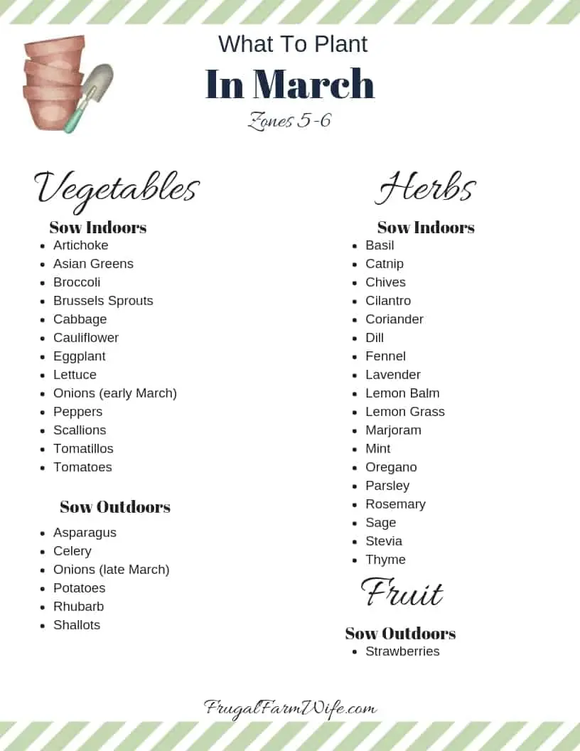 what to plant in March