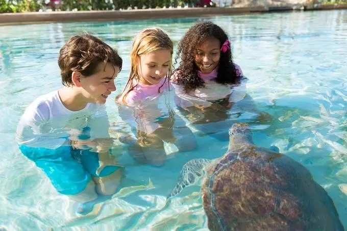 What to see with your child on vacation