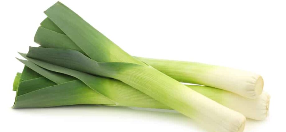 When to dig up and how to properly store leeks at home