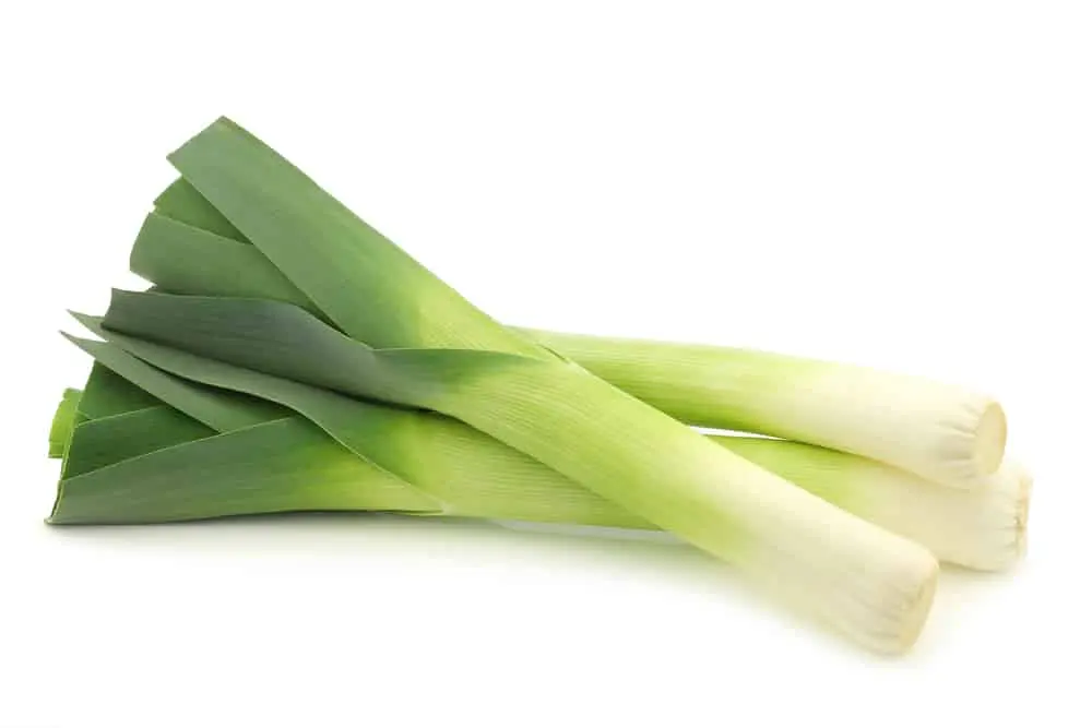 When to dig up and how to properly store leeks at home