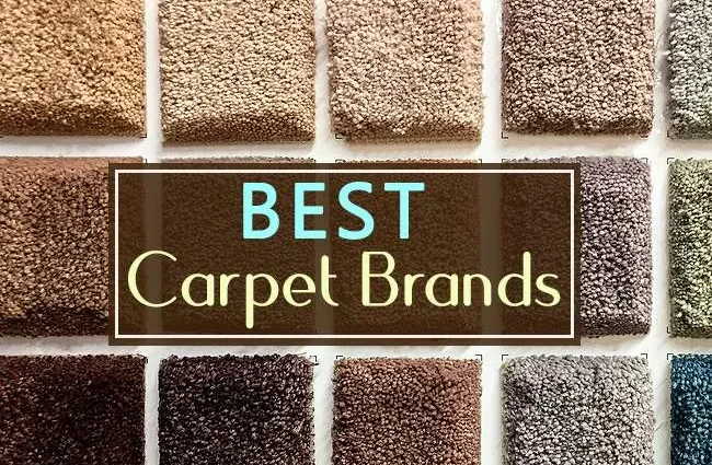 Which carpet is better reviews