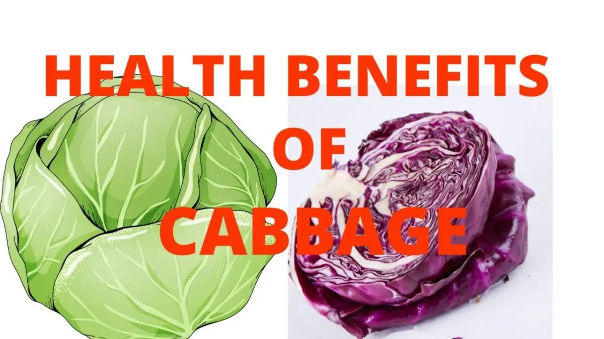 White cabbage casserole: taste and benefits. Video