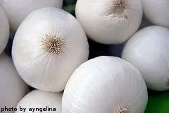 White onion: varieties