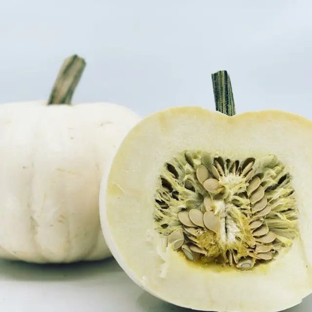 White pumpkin: varieties of white pumpkin inside