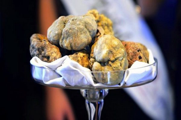 White truffle: fall luxury