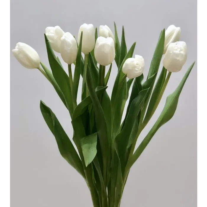 White Tulips