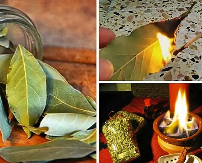 Why burn bay leaves at home during the coronavirus