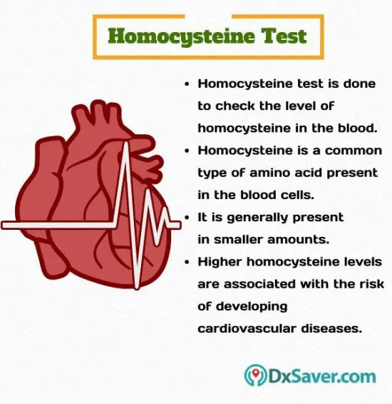 Why do you need a homocysteine ​​test when planning a pregnancy?