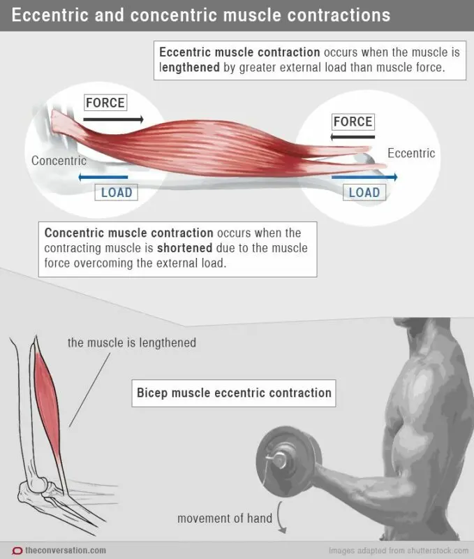 Muscle pain after exercise: how to get rid of the pain? Video