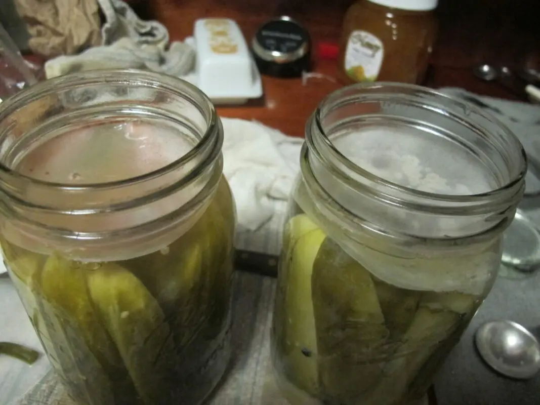 Why does the brine in pickled cucumbers in a jar become cloudy