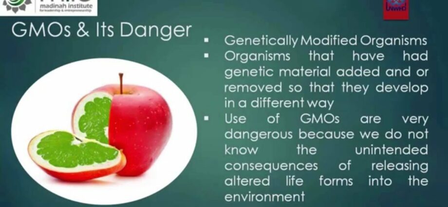 Why GMO foods are really dangerous