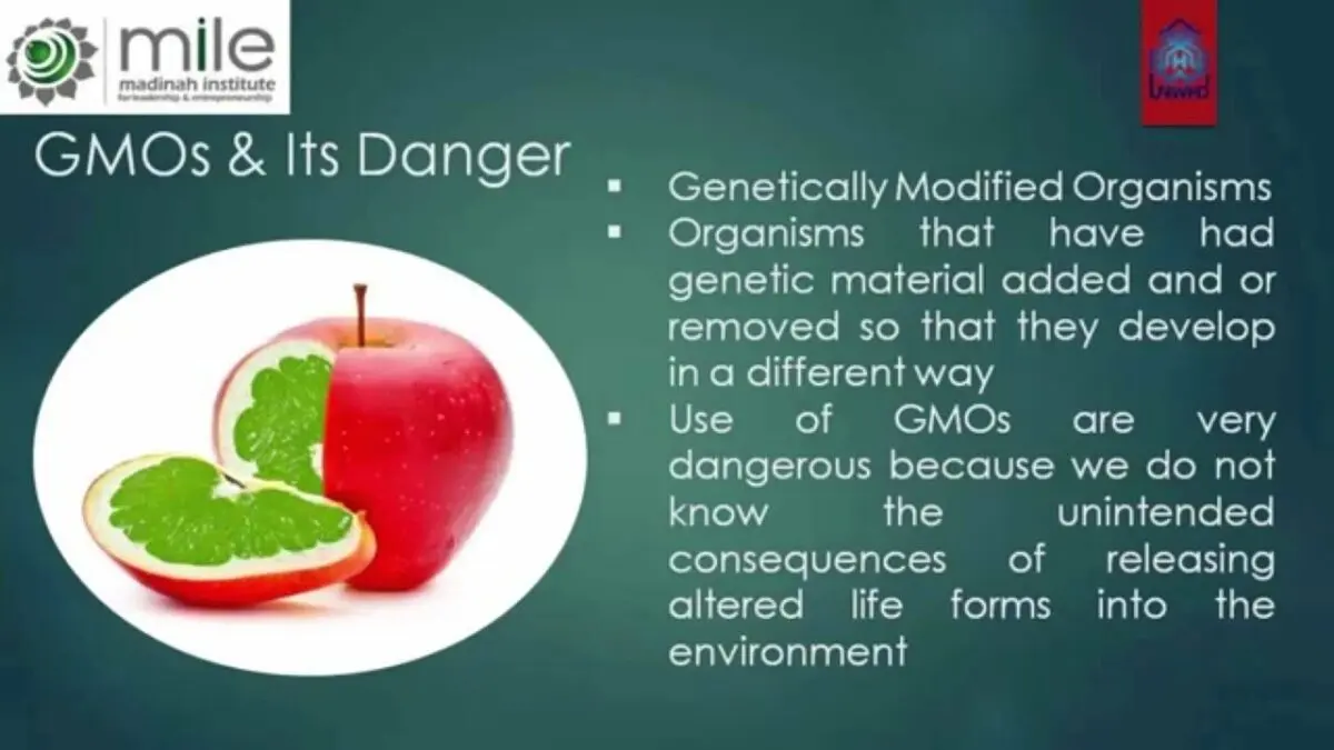 Why GMO foods are really dangerous