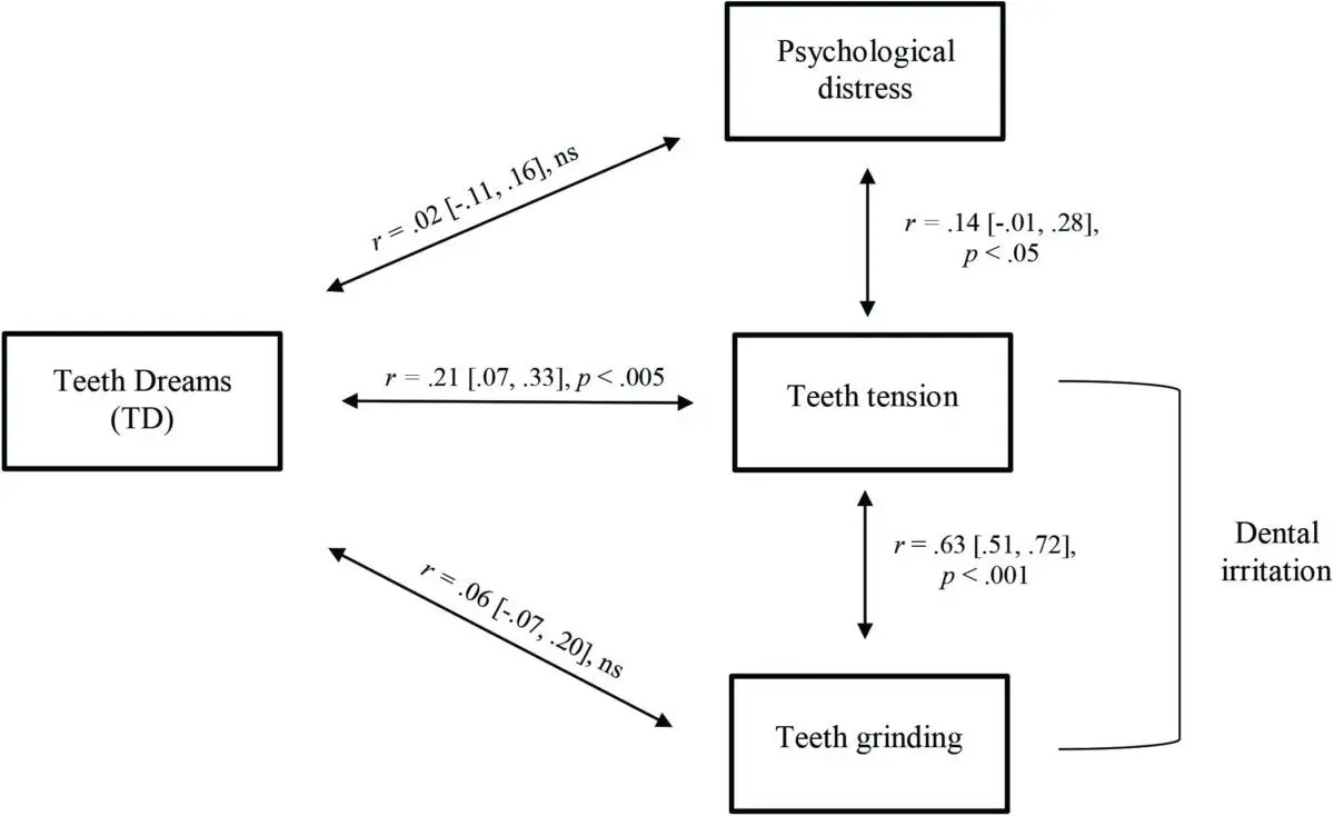 Why grit your teeth in a dream: reasons