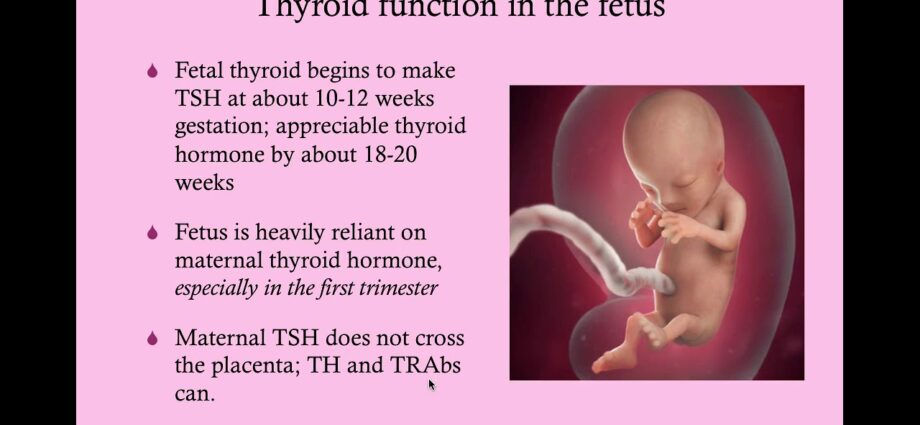 Zakaj je hipotiroidizem nevaren med nosečnostjo
