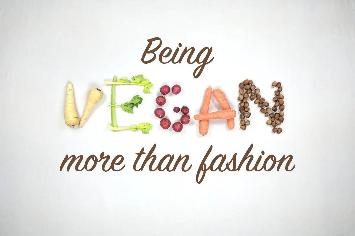 Why is being vegan more than not eating meat and eggs?