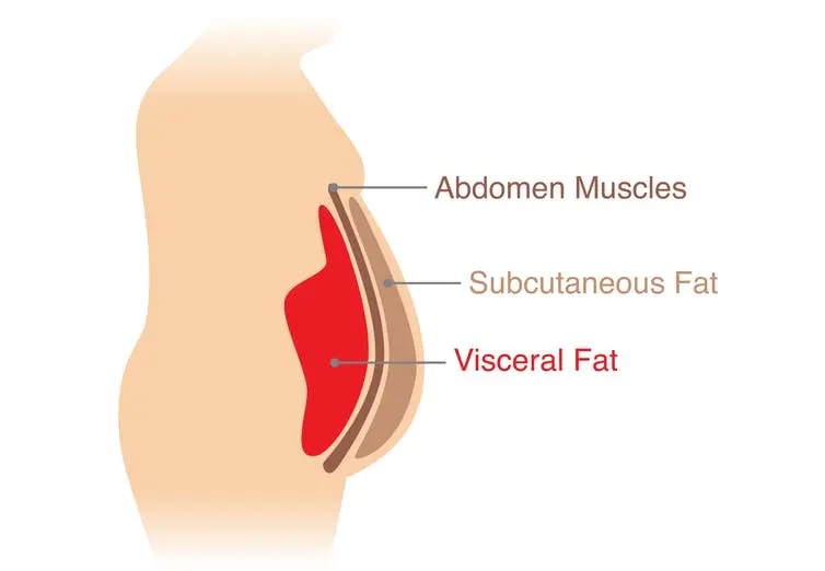 Why is belly fat dangerous?