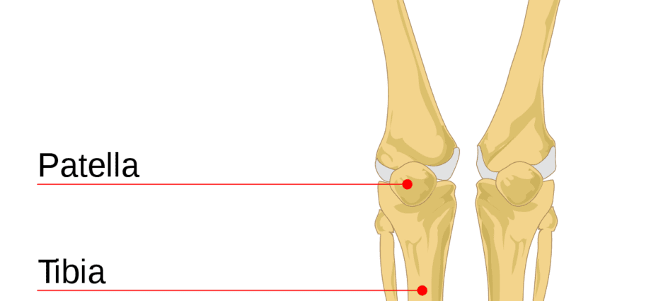 Why is the &#8220;bone&#8221; on the leg dangerous and should it be removed?
