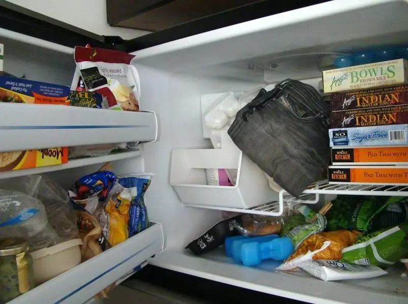 Why put clothes in the fridge: 7 unexpected reasons