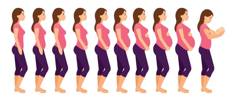 Why the belly does not grow during pregnancy