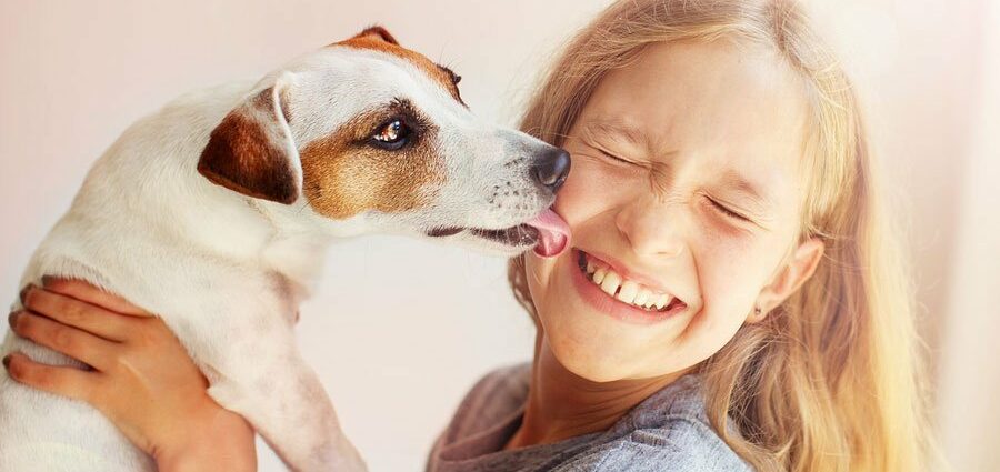 Why your dog actually licks you: 5 scientific reasons