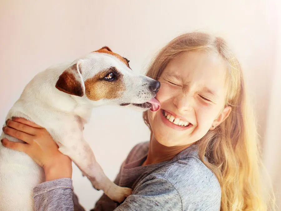 Why your dog actually licks you: 5 scientific reasons