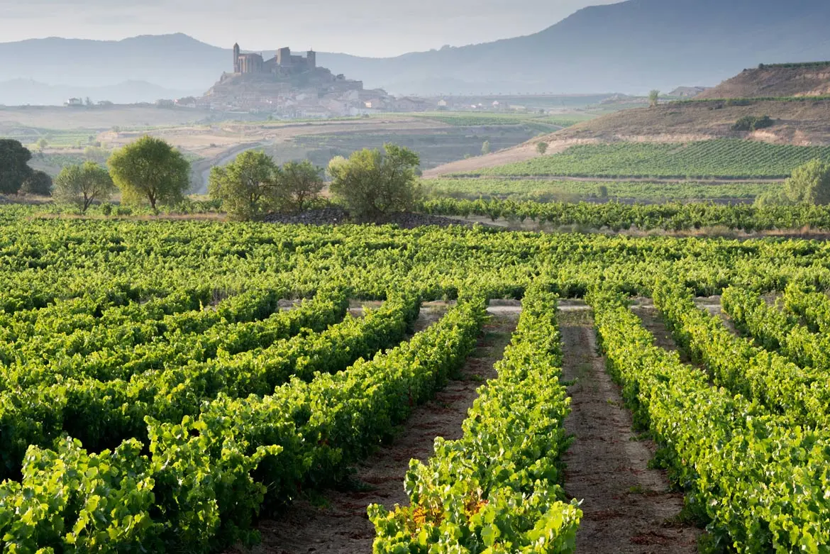 Wine tourism continues to grow in Spain