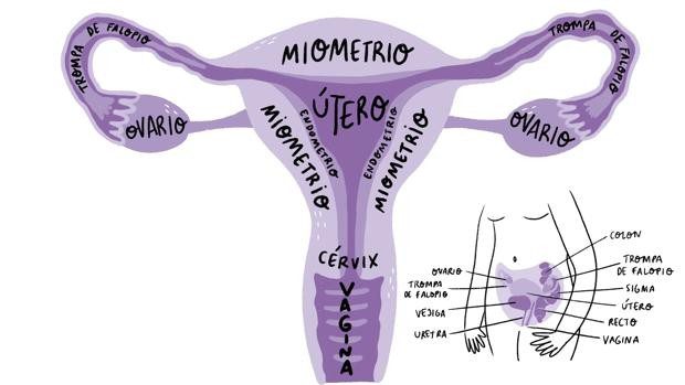 &#8220;Women complain about their period pain and the health workers ignore it&#8221;