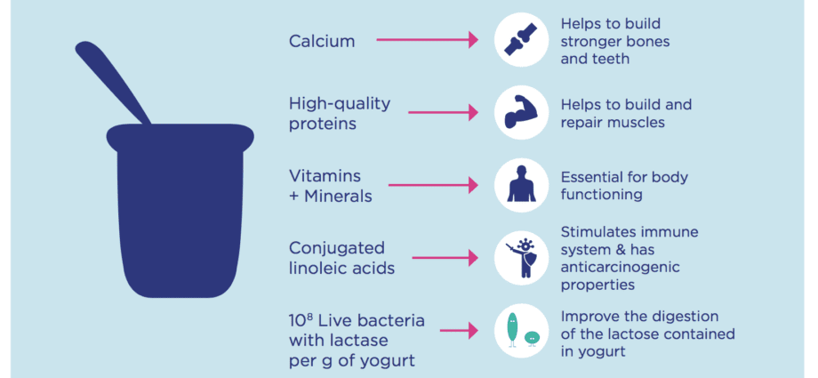 Yogurt, the beneficial properties of yogurt