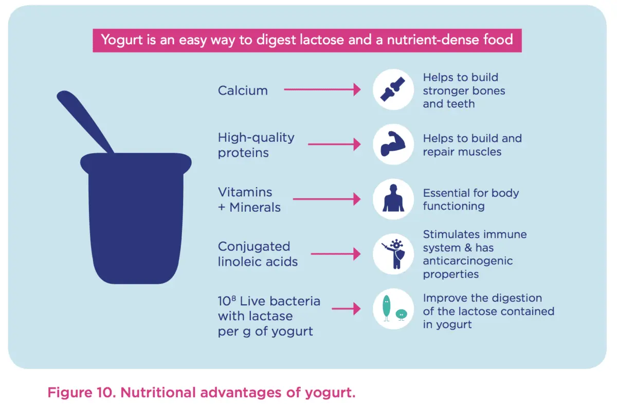 Yogurt, the benefits of yogurt, diet foods