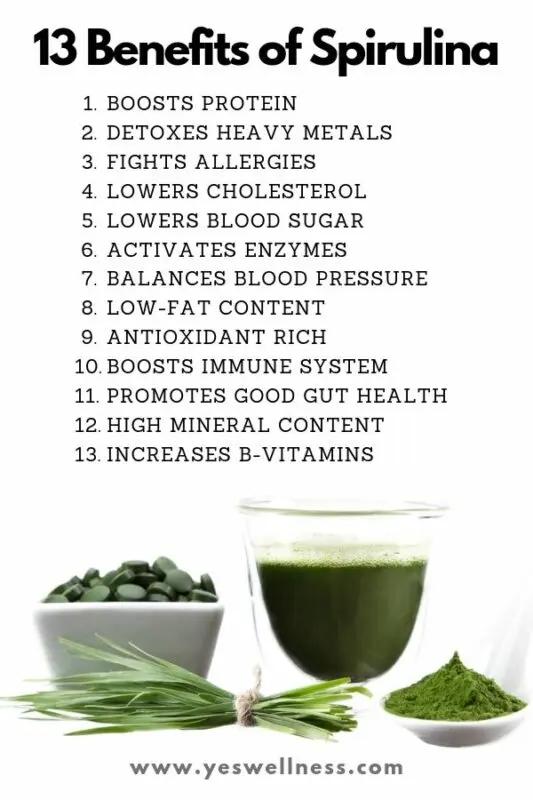 11 Amazing Health Benefits of Spirulina