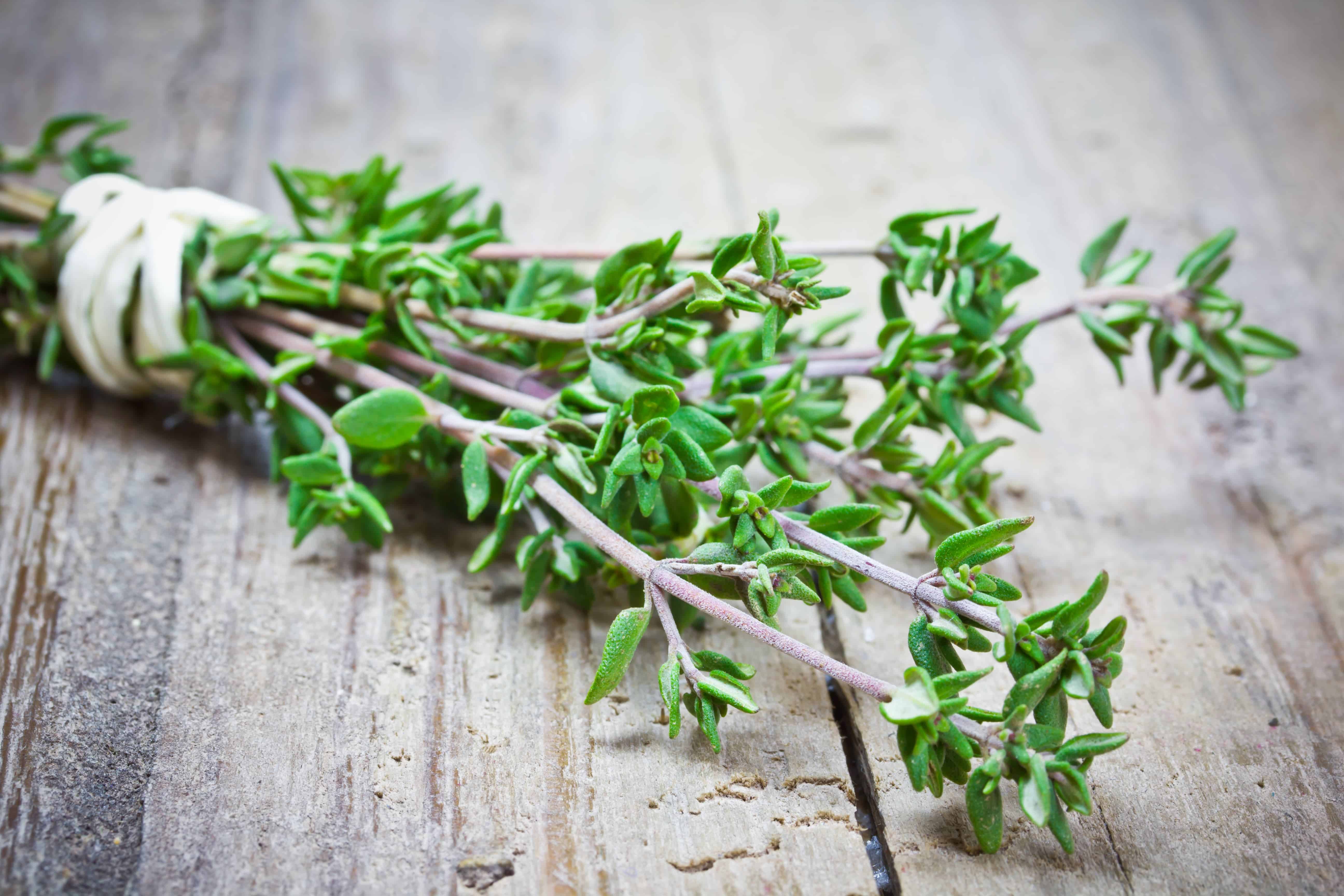 12 incredible health benefits of thyme tea
