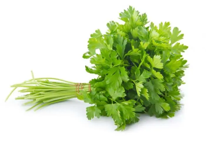 7 good reasons to drink parsley juice