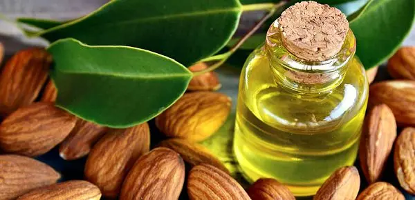 Almonds: benefits and harms to the body