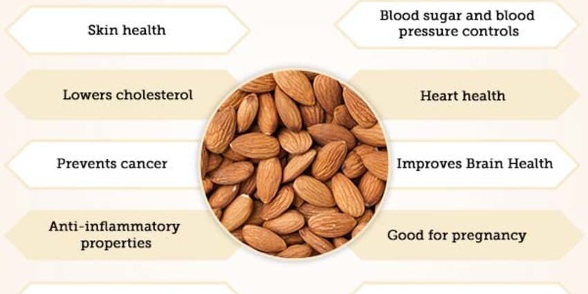 Almonds: benefits and harms to the body