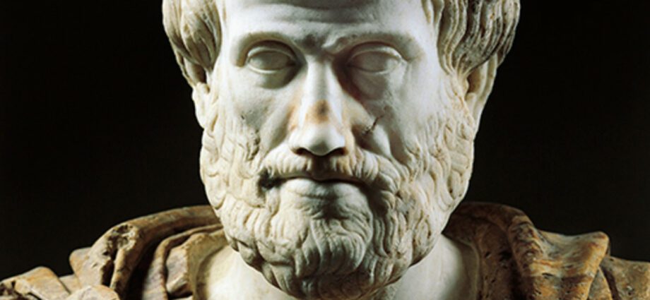 Aristotle: a short biography and his discoveries, video