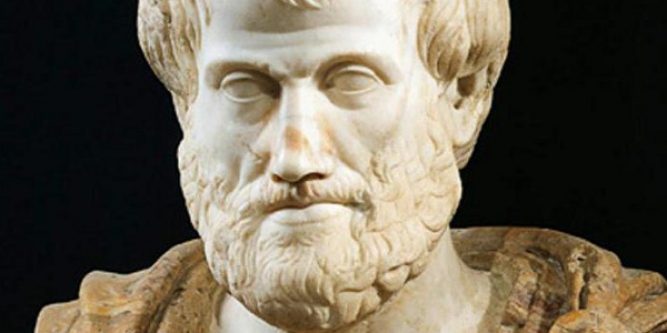 Aristotle: a short biography and his discoveries, video