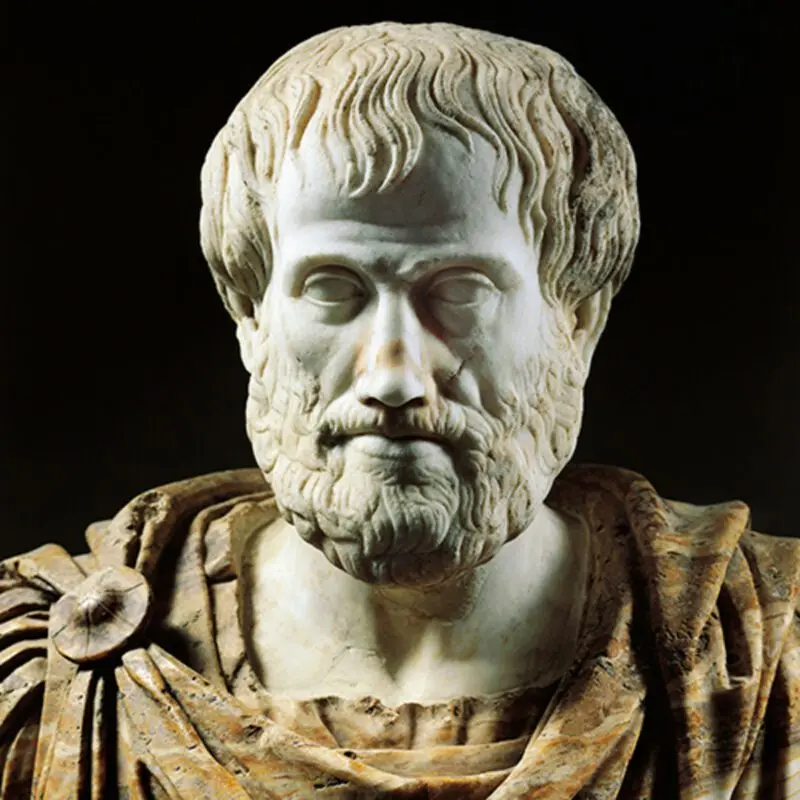 Aristotle: a short biography and his discoveries, video