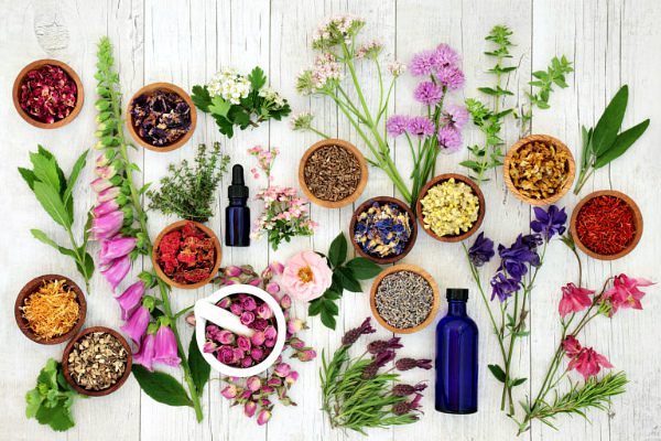 Aromatherapy: what it is, the effect of essential oils on the body