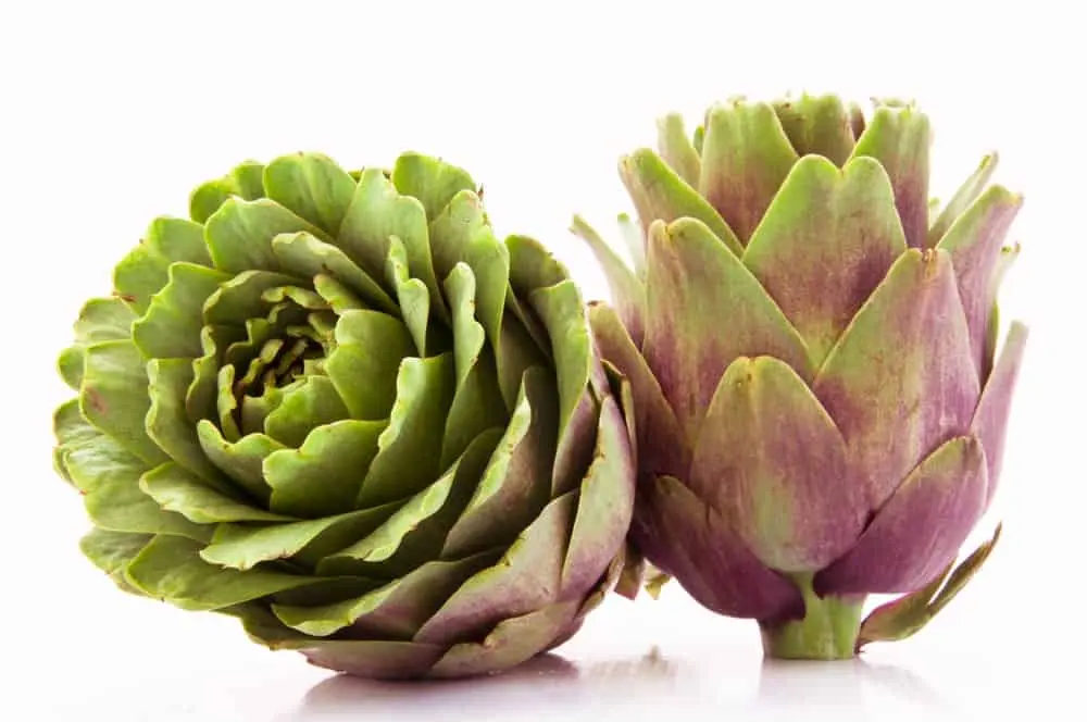 Artichoke juice: a juice with amazing properties &#8211; happiness and health