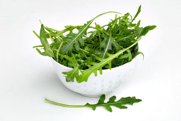 Arugula: health benefits and harms, application