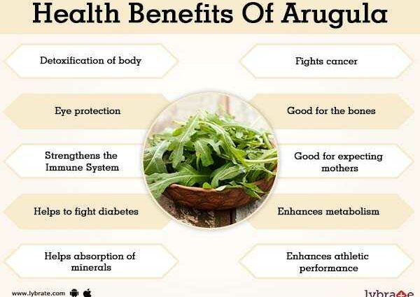 Arugula: health benefits and harms, application