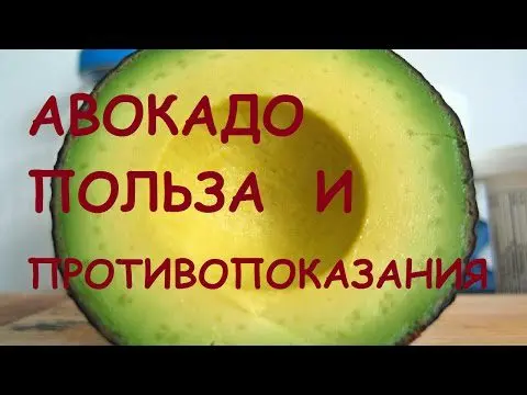 Avocado: benefits and harms to the human body