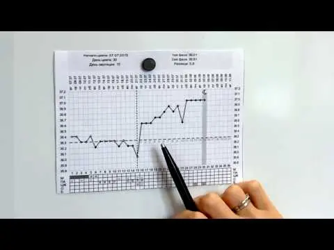 Basal temperature: how to measure correctly and make a schedule