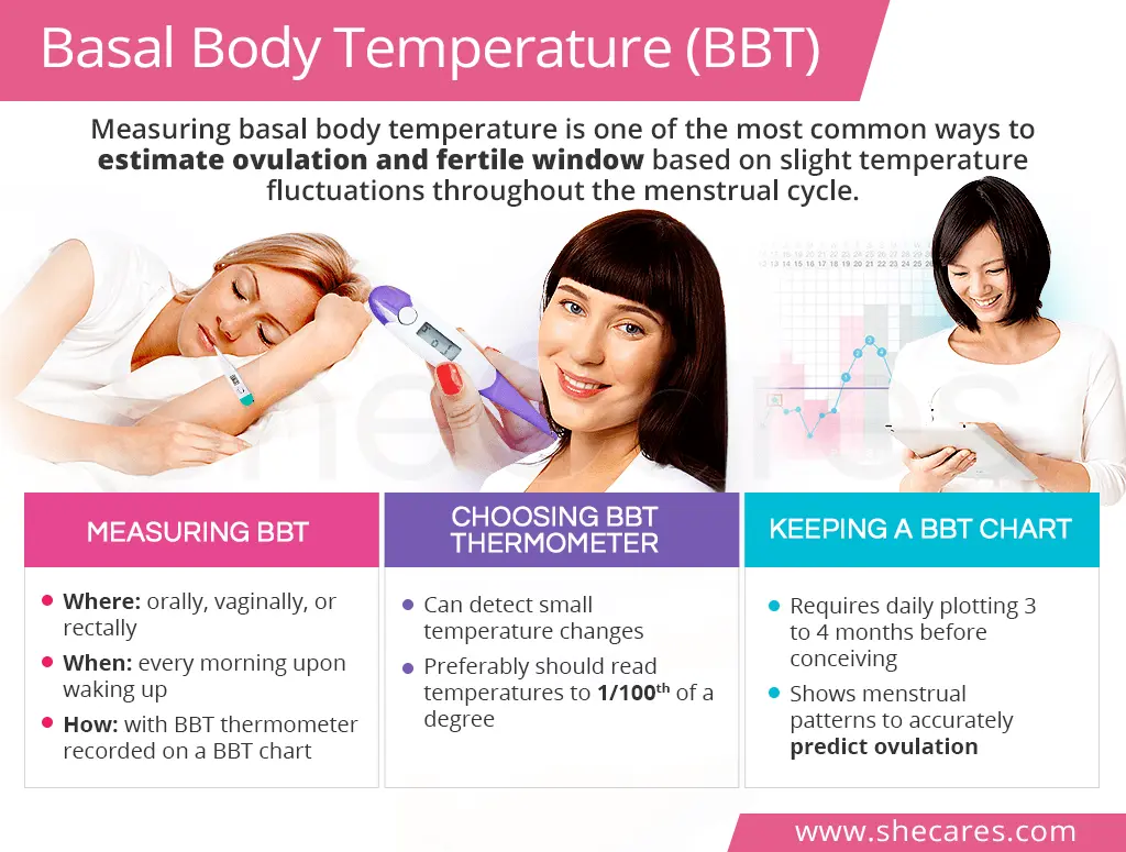 Basal temperature: how to measure correctly and make a schedule