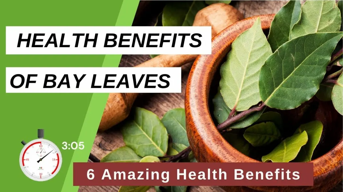 Bay leaf: health benefits and harms, video